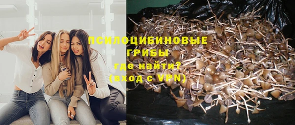 стафф Арсеньев
