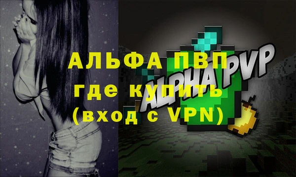 стафф Арсеньев