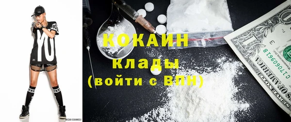 стафф Арсеньев