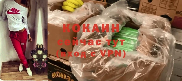 стафф Арсеньев