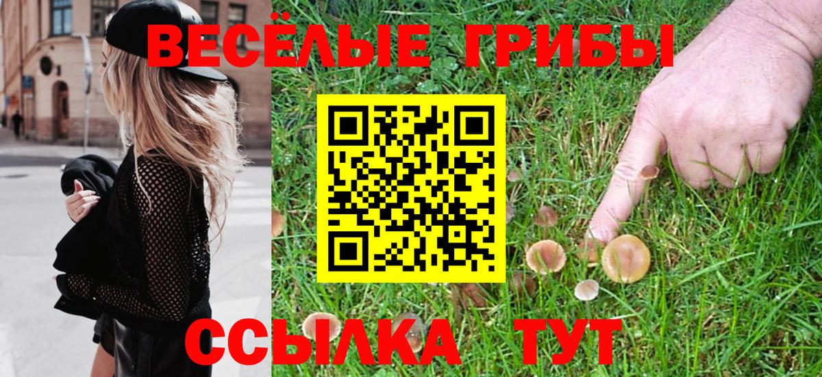 купить наркоту  Псилоцибиновые грибы GOLDEN TEACHER  Вход с VPN  Галлюциногенные грибы GOLDEN TEACHER  Дзержинск 