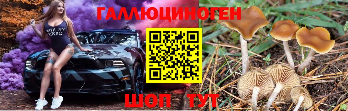 Псилоцибиновые грибы мухоморы Дзержинск